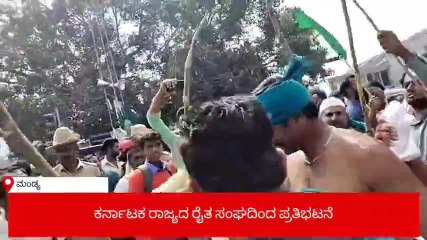ಮಂಡ್ಯ : ಅರೆ ಬೆತ್ತಲಾಗಿ ಪ್ರತಿಭಟನೆಯಲ್ಲಿ ಪಾಲ್ಗೊಂಡ ರೈತರು