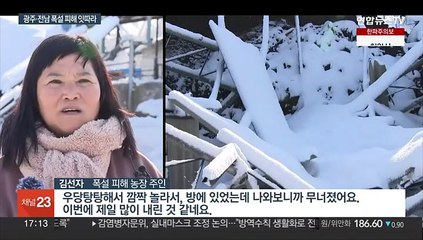 20㎝ 폭설에 창고도, 축사도 폭삭…출근길 대혼잡