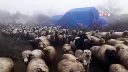 60 gündür direniyorlar seslerini duyan yok