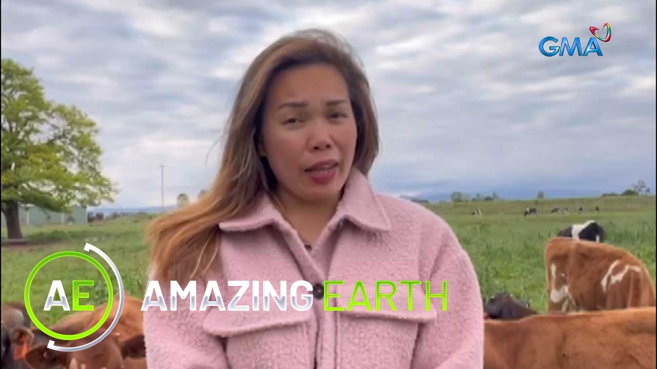 Amazing Earth: The amazing Filipina Dairy farmer in Australia!