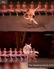 Sleeping beauty Act2 May and Somova