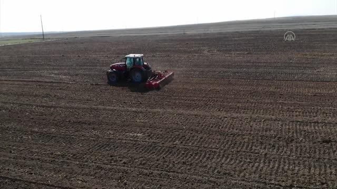 ESKİŞEHİR - Mühendis adayı kadın çiftçi tohum üretip sosyal medyadan tecrübelerini aktarıyor