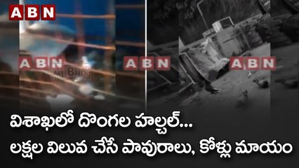 విశాఖలో దొంగల హల్చల్...  లక్షల విలువ చేసే పావురాలు, కోళ్లు మాయం || Vizag || ABN Telugu