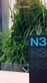 فتح صندوق هاتف OnePlus Nord N300