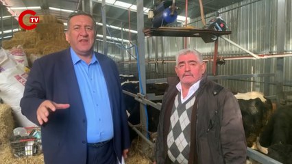 Ekonomik kriz yurttaşı süt ve peynirden etti: Üretimi bir yılda 3 bin 300 ton azaldı