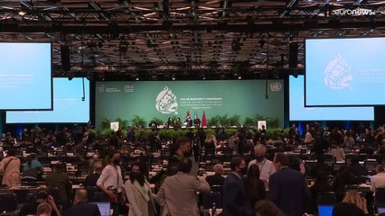 Historische Einigung bei Weltnaturgipfel zum Schutz der Artenvielfalt