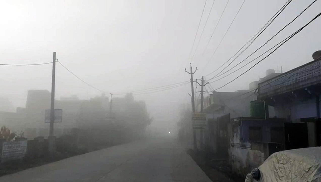 राष्ट्रीय एवं राज्य राजमार्ग पर कोहरे से यातायात बाधित