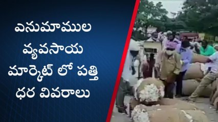 వరంగల్ ఈస్ట్: కన్నీళ్లు పెట్టిస్తున్న పత్తి ధర