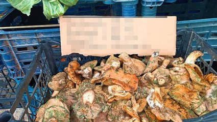 Kilosu 150 TL'yi geçen ürünü satan esnafın fiyat listesi şaşkına çevirdi! Dokunmak ve koklamak için de para alıyor