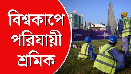 চোখ ধাঁধানো কাতার বিশ্বকাপ, উৎসবের বাজনায় চাপা পরিযায়ী শ্রমিকদের গল্প