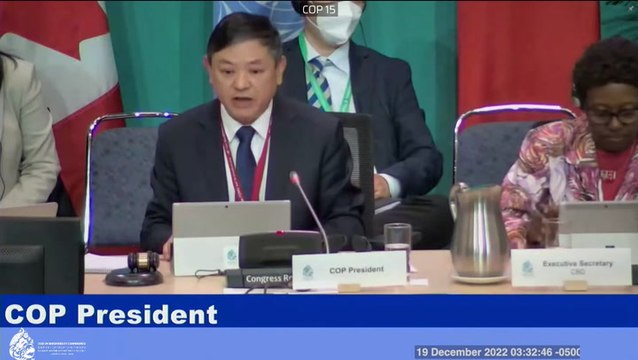 Cop15: Moment historic UN deal reached to protect one-third of world’s nature