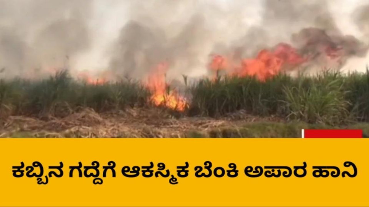 ಆಕಸ್ಮಿಕ ಬೆಂಕಿ ತಗುಲಿ 42 ಎಕರೆ ಕಬ್ಬಿನ ಬೆಳೆ ಸಂಪೂರ್ಣ ಭಸ್ಮ