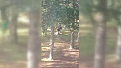 Köpeğini döven kişi gözaltına alındı