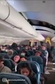 Turbolenze sull'aereo, choc sul volo Phoenix-Honolulu: 11 feriti - VIDEO