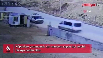 Köpeklere çarpmamak için manevra yapan işçi servisi faciaya neden oldu
