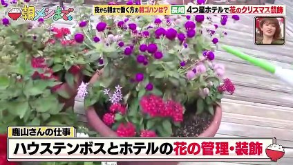 2022.12.17 元乃木坂46 朝メシまで。 樋口日奈