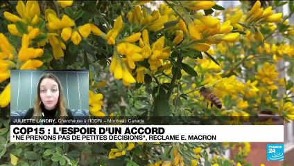 COP 15 : "c’est une des conventions qui a le plus de pays réunis"