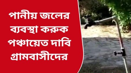 নদীয়া: সরকারি পানীয় জল পরিষেবা থেকে বঞ্চিত গোটা গ্রাম