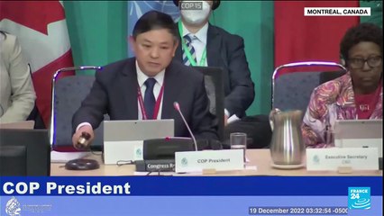 COP15 : 23 objectifs adoptés pour tenter de sauver la nature