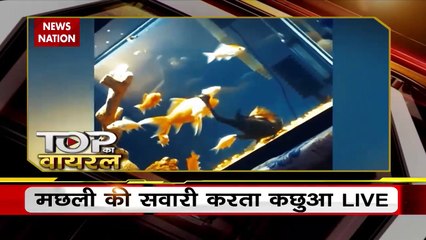 Top Ka Viral : देखिए सोशल मीडिया पर वायरल वीडियो का Countdown | Top viral video |