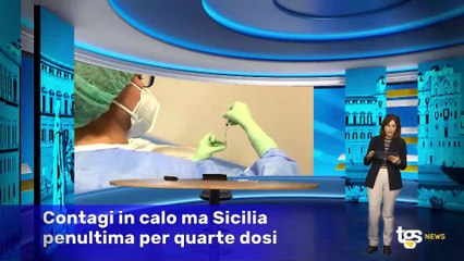 Il notiziario di Tgs edizione del 19 dicembre - ore 13.50