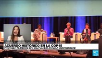 Informe desde Montreal: metas y acuerdos alcanzados para el planeta en la COP15