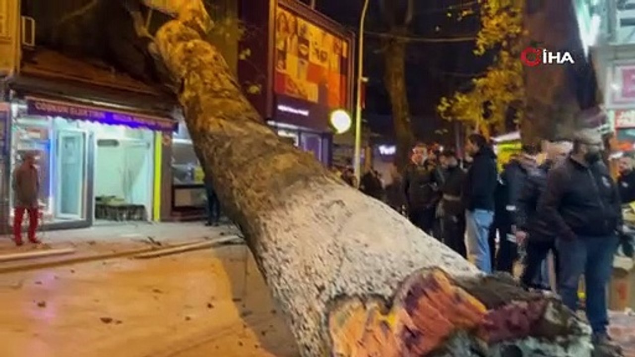Bursa’da 40 metrelik çınar ağacı dükkanların üzerine devrildi