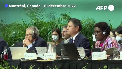 Le monde adopte un accord historique pour tenter de sauver la nature