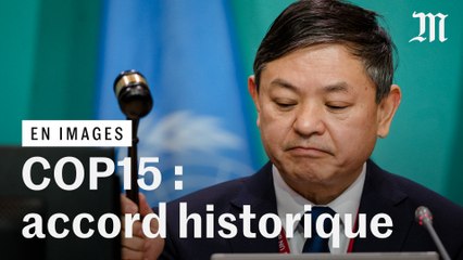 COP15 : Les images de l'adoption de l'accord historique sur la biodiversité