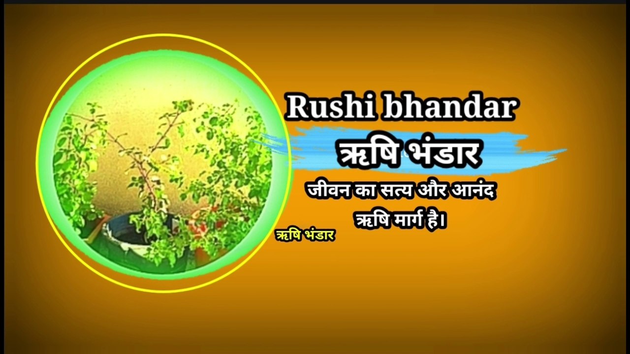 नित्य जीवन में कैसे जीना ऋषिभण्डार जीवन कला how to being health
