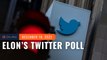 Musk launches poll on whether he should quit as Twitter CEO