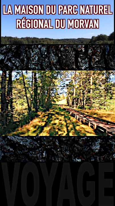 15 - chez les daims à Saint-Brisson à LA MAISON DU PARC NATUREL RÉGIONAL DU MORVAN