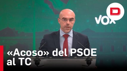 Vox denuncia «acoso» del PSOE al TC