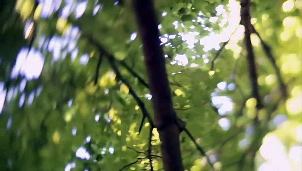 Mysteries at the Museum - Se1 - Ep04 HD Watch HD Deutsch