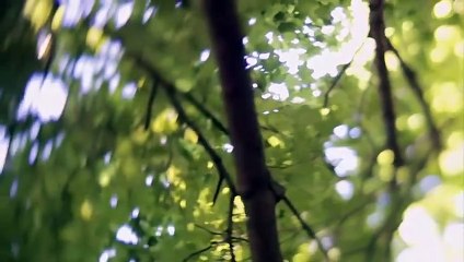 Mysteries at the Museum - Se1 - Ep04 HD Watch HD Deutsch