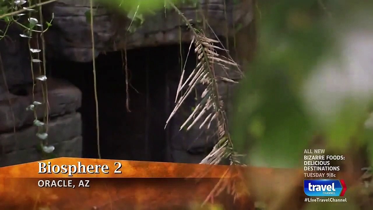 Mysteries at the Museum - Se10 - Ep01 - Indestructible Mike, Bubble Trouble, The Penny Man HD Watch HD Deutsch