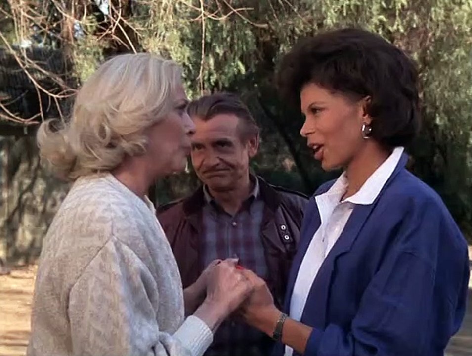 Agentin mit Herz Staffel 4 Folge 22