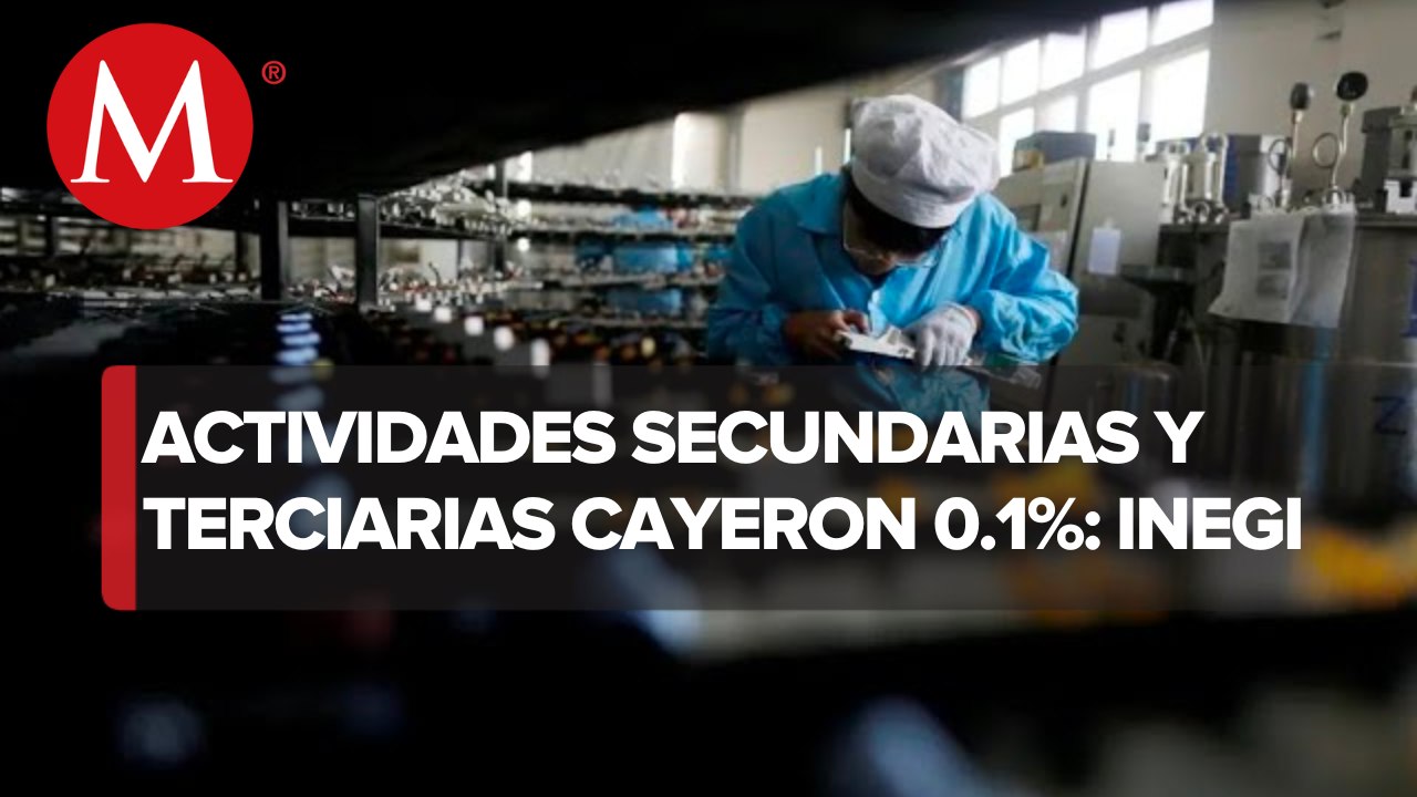 Actividad económica bajó 0.1% mensual en noviembre, anticipa el Inegi