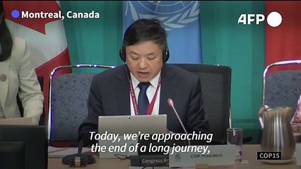 ‘We have finally reached our destination’: COP15 countries adopt historic UN deal to protect nature