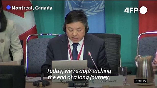 ‘We have finally reached our destination’: COP15 countries adopt historic UN deal to protect nature