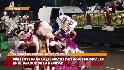 Presente para la 5ta noche de shows musicales en el parque de la navidad