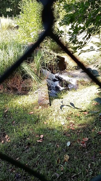Parc du château de Vizille   Musée de la Révolution française Domaine de Vizille #vizille #châteaudevizille #parc #france #2022 (13)