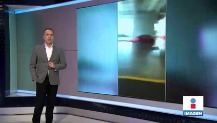 Sacrifican a león de montaña en Los Ángeles