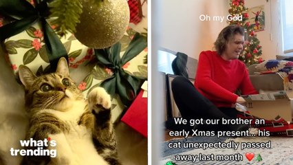 TikTokers Share Their Best Holiday Moments