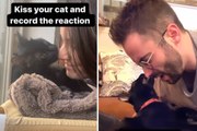 Vídeo hilário: gato tem reações diferentes ao receber beijos da ‘mãe’ e do ‘pai’