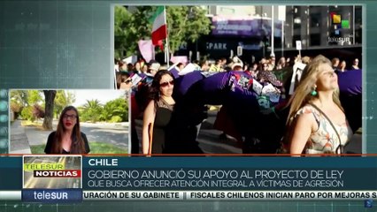 Chile conmemoró el Día contra el feminicidio tras promulgación de la Ley contra el suicidio femicida