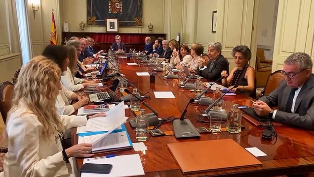 El Constitucional paraliza la tramitación en el Senado de la reforma que busca renovar el tribunal