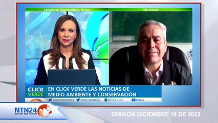 Aumentan esfuerzos en Colombia para la protección de animales silvestres.