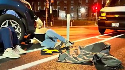 Dog rescued from car engine by off-duty police officers