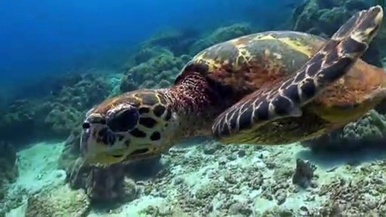 Enjoy the yachtlife! Private yacht vacations by OceanScape Yachts